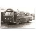 Black & White Photograph of Western Welsh Omnib...