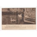 The Swans on the Palace Moat Wells Postcard Pub...