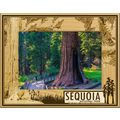 Sequoia National Park with Tree's Laser Engrave...