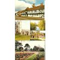 Bedfordshire ELSTOW, LUTON, SANDY 3 Postcards (...
