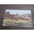 Valentines Postcard - Dunfermline Gardens - Art...