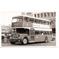 Black & White Photograph of Bristol Omnibus Co....
