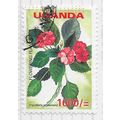 UGANDA 2005 FLOWERING PLANTS BUSY LIZZIE Impati...