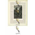 Shooting A Lion, South Africa, Book Illustratio...
