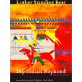 My Indian Boyhood