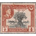 BAHAWALPUR, Wheat, government jubilee, orange 1...