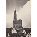 Strasbourg Cathedral France Postcard unused VGC