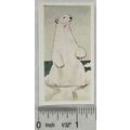 Neilson's Interesting Animals card No. 21 Polar...