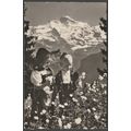 Trachtenkinder im Blumenfeld, Jungfrau, c.1950 ...