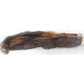 Petrified Wood 21 Natural Gemstone Slab Lapidar...