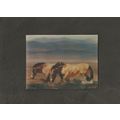 Trade card Shell Oil 1975 WWF Animal Card # 16 ...
