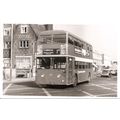 Black & White Photograph of Maidstone & Distric...