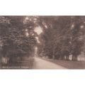 EC238 CORSHAM COURT AVENUE . PRINTED POSTCARD
