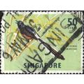 SINGAPORE, BIRD, White-rumped shama, green 1963...
