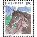 SWITZERLAND, FLOWER, HORSE, Mare and foal, brow...