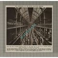 C3259) The Royal Scottish Museum Edinburgh Cent...