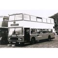 Black & White Photograph of United Counties Omn...