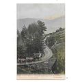 PRINTED POSTCARD OF HORSE COACHES RETURNING TO ...