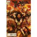 X-Men (Legacy) (Vol 1) # 243 NM MODERN AGE COMICS