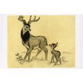 Bambi In Forest Baby Deer Walt Disney Storyboar...