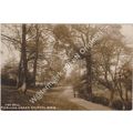 RP The Dell Redland Green Bristol Gloucestershi...