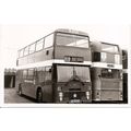 Black & White Photograph of Maidstone & Distric...