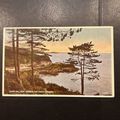Guernsey Marble Bay from Jerbourg Pine Forest V...