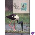 Australia FDI Postcard set 1991 - Water Birds