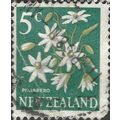 NEW ZEALAND, FLOWER, Autumn Clematis, Clematis ...