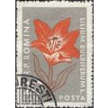 ROMANIA, FLOWER, Lilium Bulbiferum, grey 1959, ...