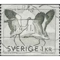 SWEDEN, BIRD, Common crane, Grus grus, white 19...
