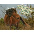 Assateaque Island With Horse Fridge Magnet