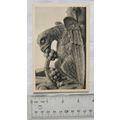 vintage Postcard Notre Dame Cathedral Paris, Ch...