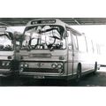 Black & White Photograph of Yelloway Motor Serv...