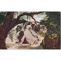 Antique Photochrom Co Ltd PC 1923 - Swallow Fal...