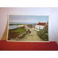 GOING TO MARKET IN IRELAND. used vintage postca...
