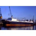 SQ0310 - P&O Ferry - Norqueen - photograph 6x4