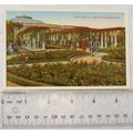 vintage postcard Rose Walk, Weston Super Mare
