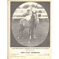 arky flat arabians 1972 tante raftan mechele fi...