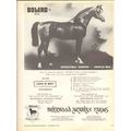 brierwood arabian farms 1972 bolero santa ynez ...