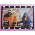 PG Tips 40 Years of The Chimps Giveaway Card No...
