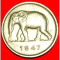 SOUTH AFRICA ELEPHANT:BELGIAN CONGO★2 FRANCS 19...