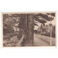 The River and Station Road Llanfairfechan Postc...