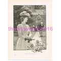Our Head Gardener, Victorian Art, Book Illustra...