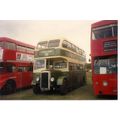 Colour Photo of Southend Corporation Transport ...