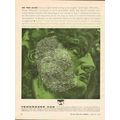 TENNESSEE GAS TRANSMISSION COMPANY 1962 no two ...