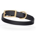 Dog Pet Collar with Brass Hardware Size M W 3/4...