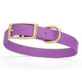 Dog Pet Collar with Brass Hardware Size M W 3/4...
