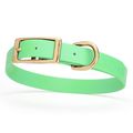 Dog Pet Collar with Brass Hardware Size M W 3/4...