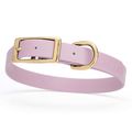 Dog Pet Collar with Brass Hardware Size M W 3/4...